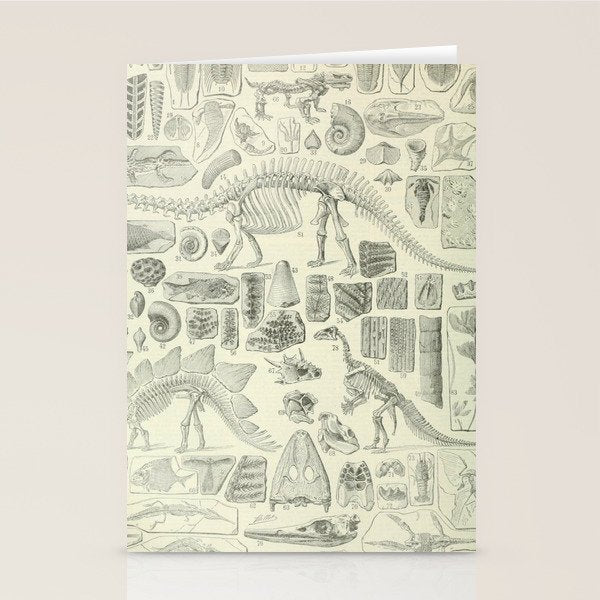 Fossil Chart Stationery Card Gallery Image 1