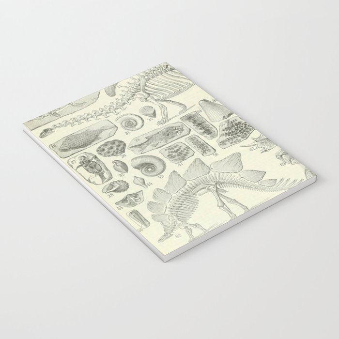 Fossil Chart Notebook Gallery Image 3