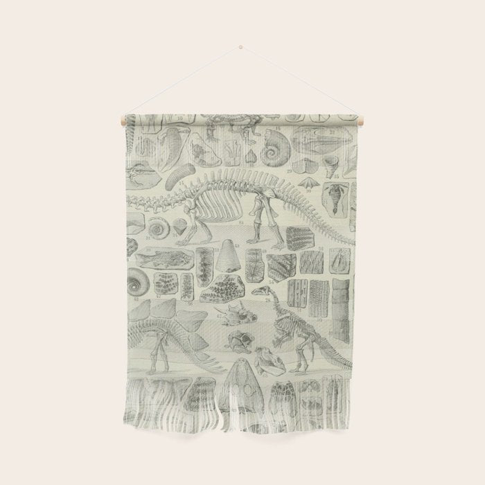 Fossil Chart Wall Hanging Gallery Image 1