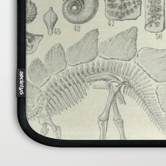 Fossil Chart Laptop Sleeve Gallery Image 3