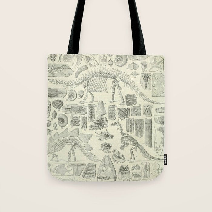 Fossil Chart Tote Bag Gallery Image 1