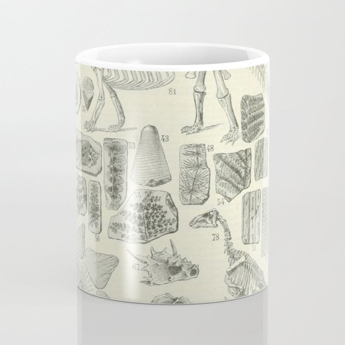 Fossil Chart Coffee Mug Gallery Image 4