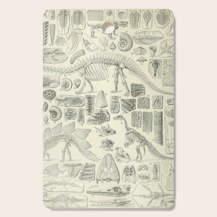 Fossil Chart Cutting Board Gallery Image 1