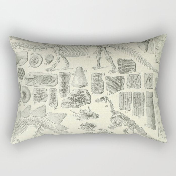 Fossil Chart Rectangular Pillow Gallery Image 2