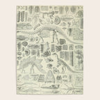 Fossil Chart Poster Gallery Image 4