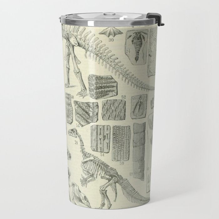 Fossil Chart Travel Mug Gallery Image 2