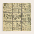 Fossil Chart Wood Wall Art Gallery Image 1