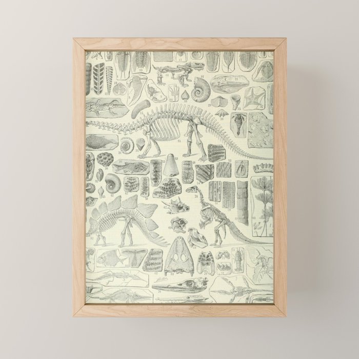 Fossil Chart Mini Art Print Gallery Image 1