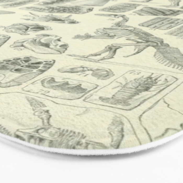 Fossil Chart Bath Mat Gallery Image 3