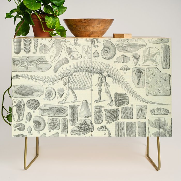 Fossil Chart Credenza Gallery Image 1