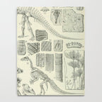 Fossil Chart Notebook Gallery Image 4