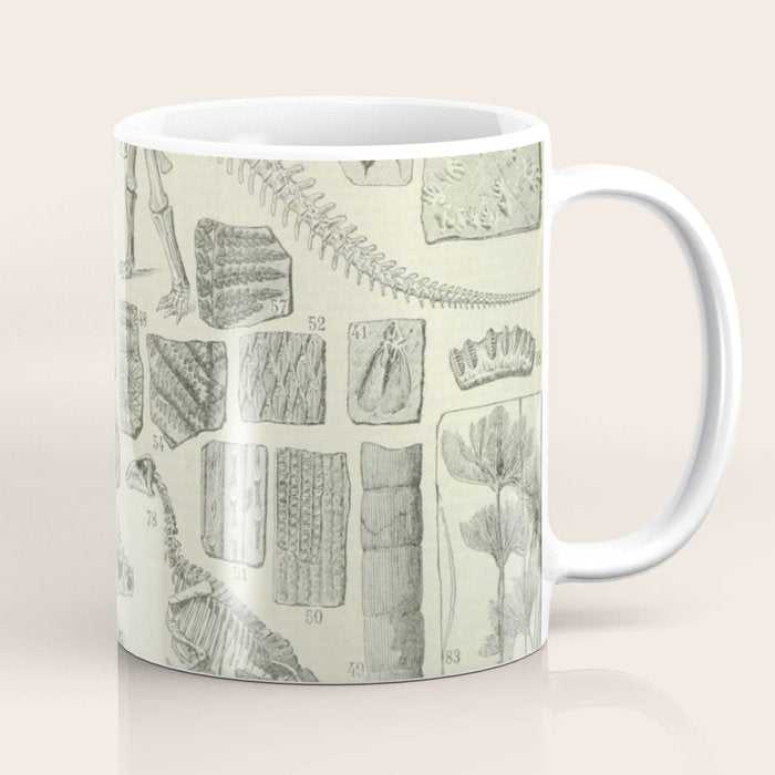 Fossil Chart Coffee Mug Gallery Image 1