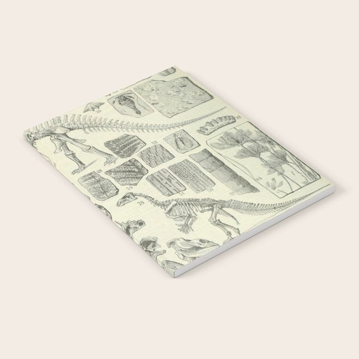 Fossil Chart Notebook Gallery Image 2