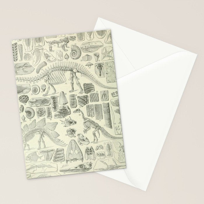 Fossil Chart Stationery Card Gallery Image 2
