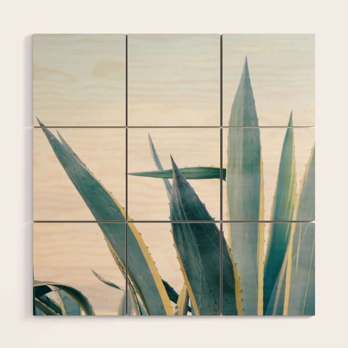 Coastal Agave Cactus Wood Wall Art Gallery Image 1