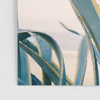 Coastal Agave Cactus Poster Gallery Image 3