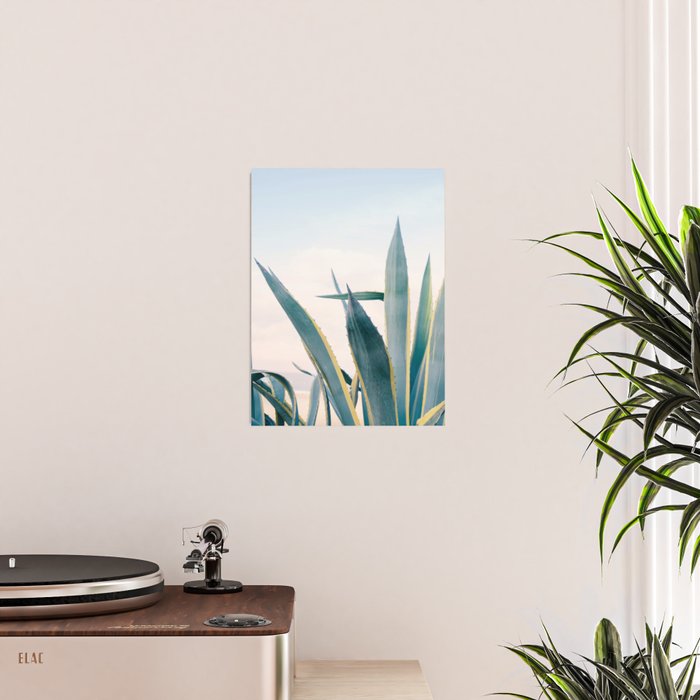 Coastal Agave Cactus Poster Gallery Image 2
