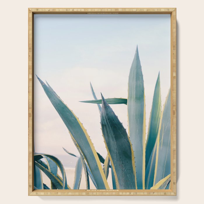 Coastal Agave Cactus Serving Tray Gallery Image 1