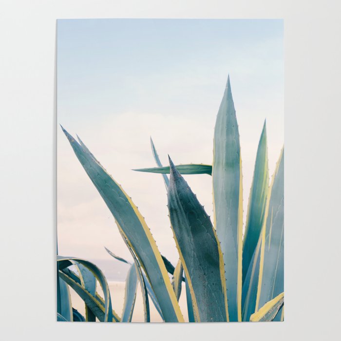 Coastal Agave Cactus Poster Gallery Image 4