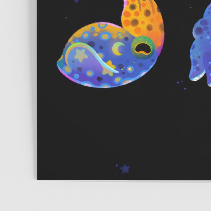 Bobtail squid Poster Gallery Image 3