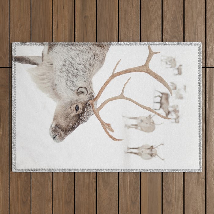 Reindeer With Antlers Art Print | Tromsø Norway Animal Snow Photo | Arctic Winter Travel Photography Outdoor Rug Gallery Image 1