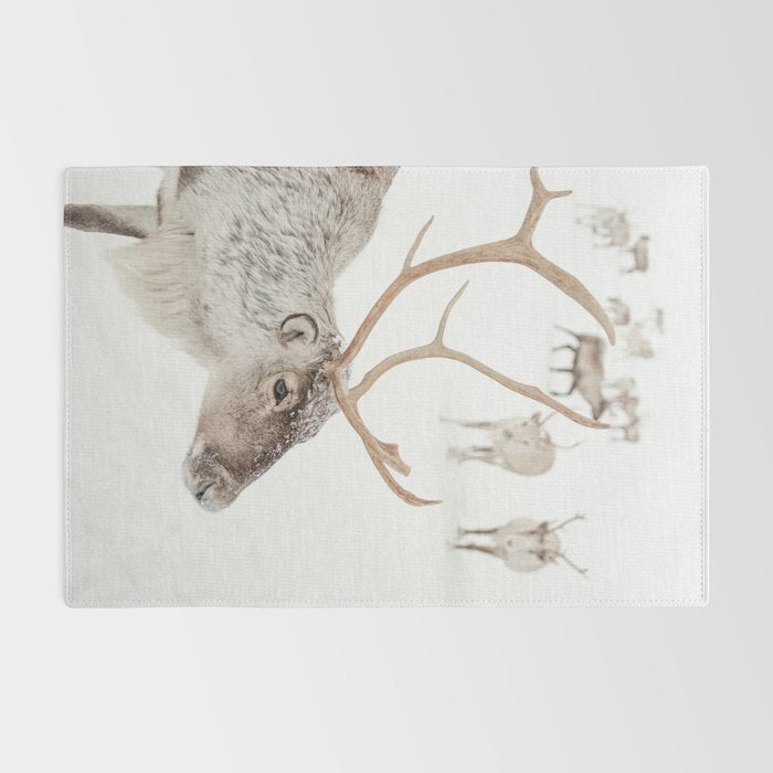 Reindeer With Antlers Art Print | Tromsø Norway Animal Snow Photo | Arctic Winter Travel Photography Rug Gallery Image 2