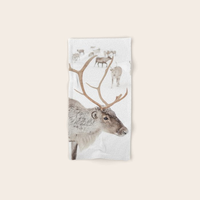 Reindeer With Antlers Art Print | Tromsø Norway Animal Snow Photo | Arctic Winter Travel Photography Bath Towel Gallery Image 1