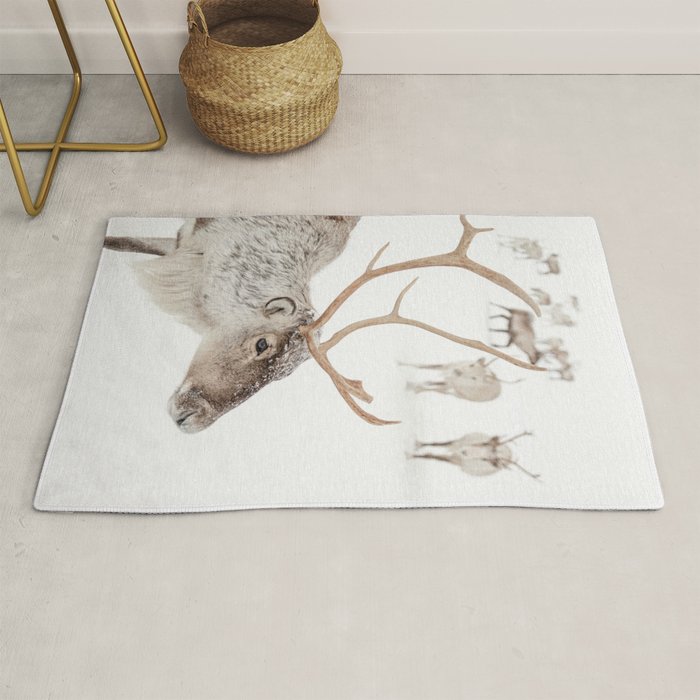 Reindeer With Antlers Art Print | Tromsø Norway Animal Snow Photo | Arctic Winter Travel Photography Rug Gallery Image 1