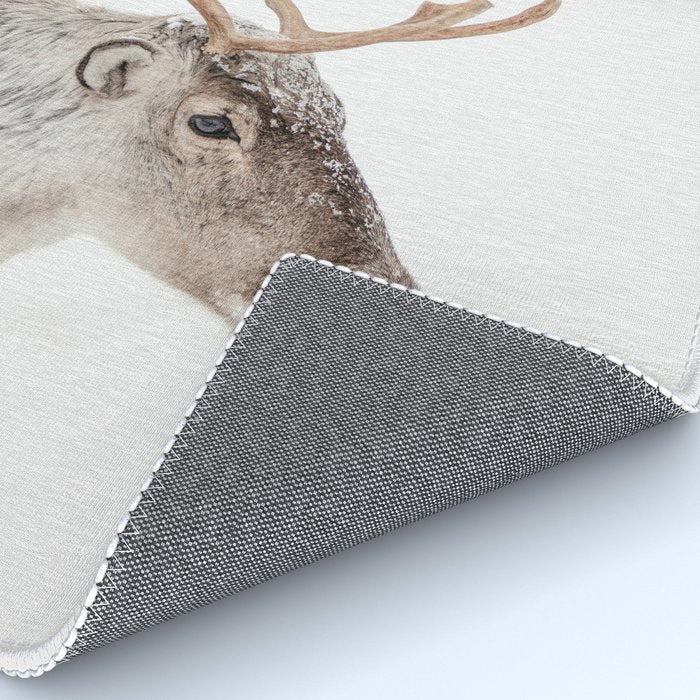 Reindeer With Antlers Art Print | Tromsø Norway Animal Snow Photo | Arctic Winter Travel Photography Rug Gallery Image 4