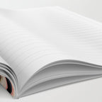 They've arrived! (UFO) Notebook Gallery Image 2