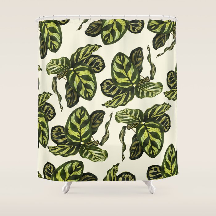 calathea botanical interior plant Shower Curtain Gallery Image 1