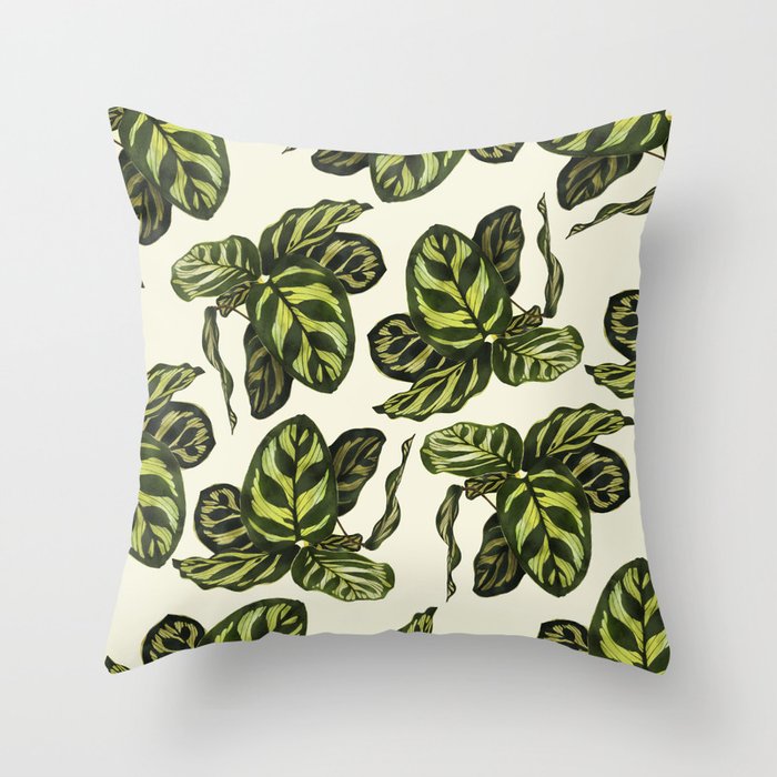 calathea botanical interior plant Throw Pillow Gallery Image 6