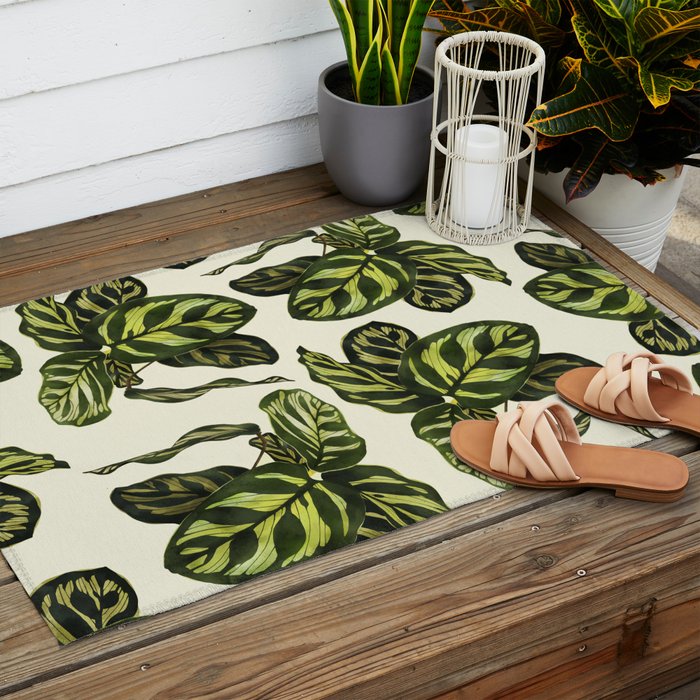 calathea botanical interior plant Outdoor Rug Gallery Image 2