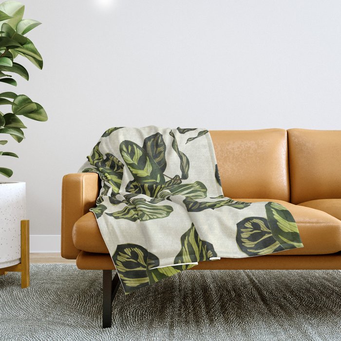 calathea botanical interior plant Throw Blanket Gallery Image 1