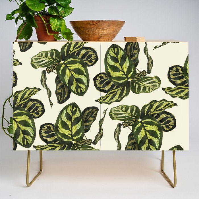 calathea botanical interior plant Credenza Gallery Image 1