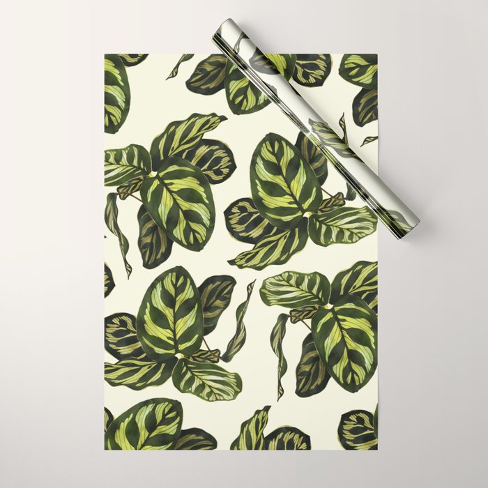 calathea botanical interior plant Wrapping Paper Gallery Image 1