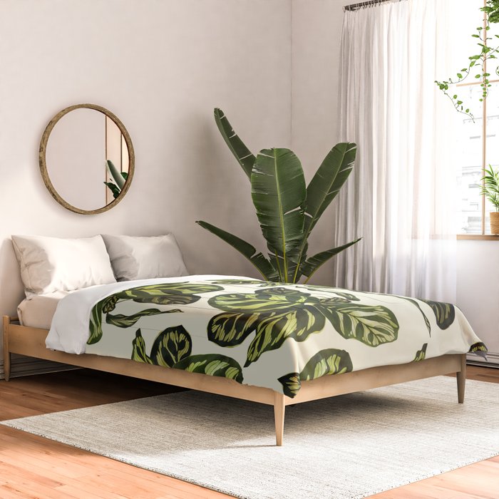 calathea botanical interior plant Comforter Gallery Image 2