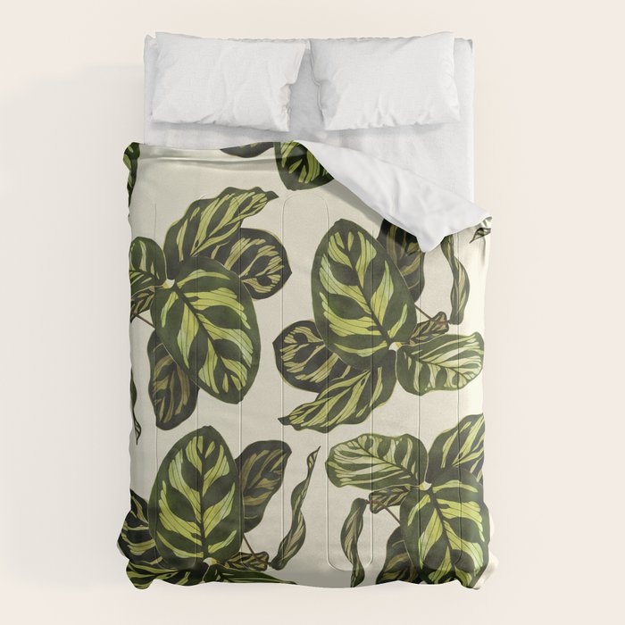 calathea botanical interior plant Comforter Gallery Image 1