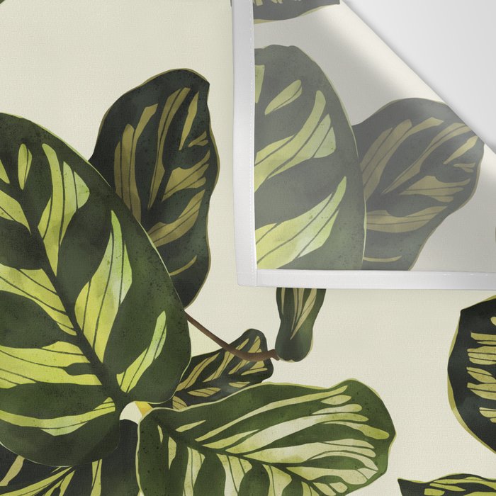 calathea botanical interior plant Wall Tapestry Gallery Image 3