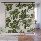calathea botanical interior plant Wall Mural Gallery Image 1