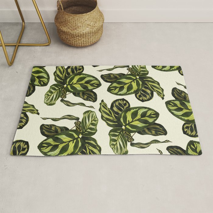 calathea botanical interior plant Rug Gallery Image 1