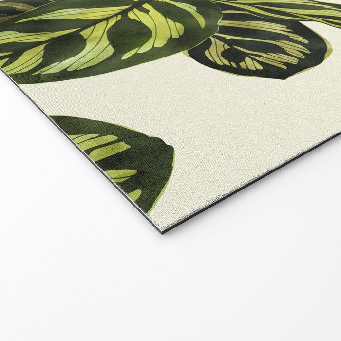 calathea botanical interior plant Welcome Mat Gallery Image 2