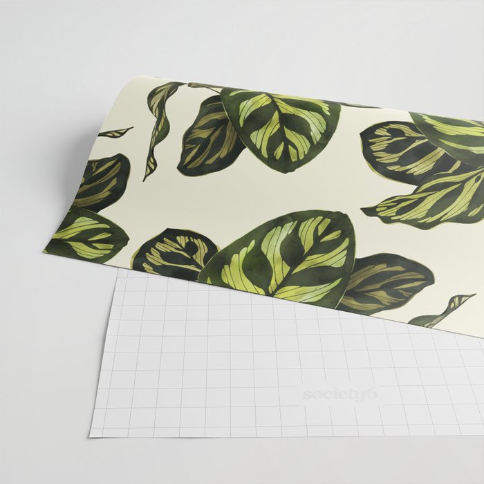calathea botanical interior plant Wrapping Paper Gallery Image 2