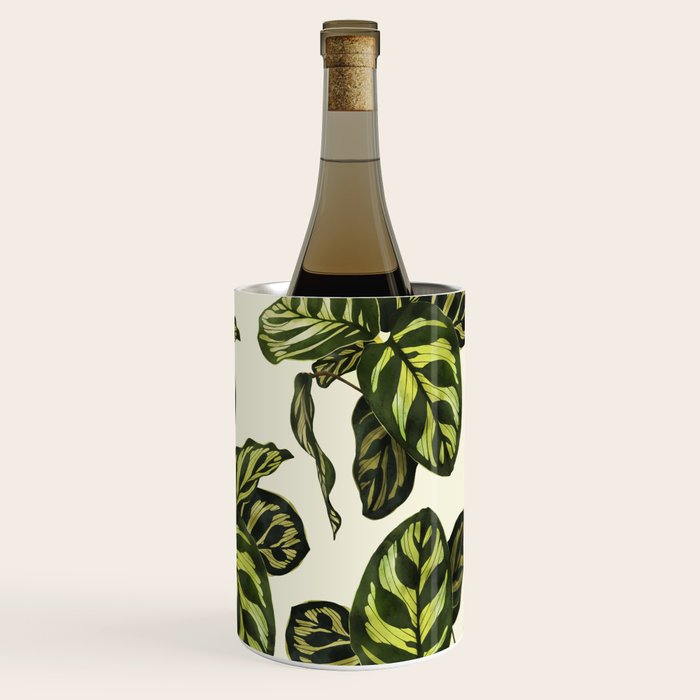calathea botanical interior plant Wine Chiller Gallery Image 2