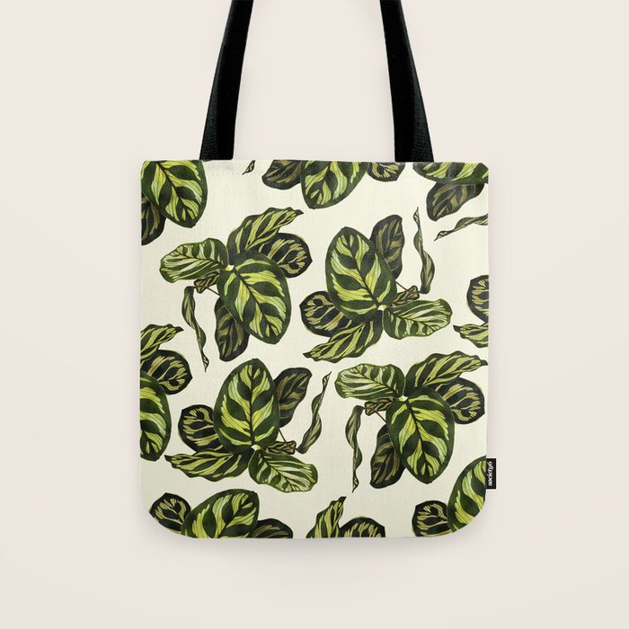 calathea botanical interior plant Tote Bag Gallery Image 1