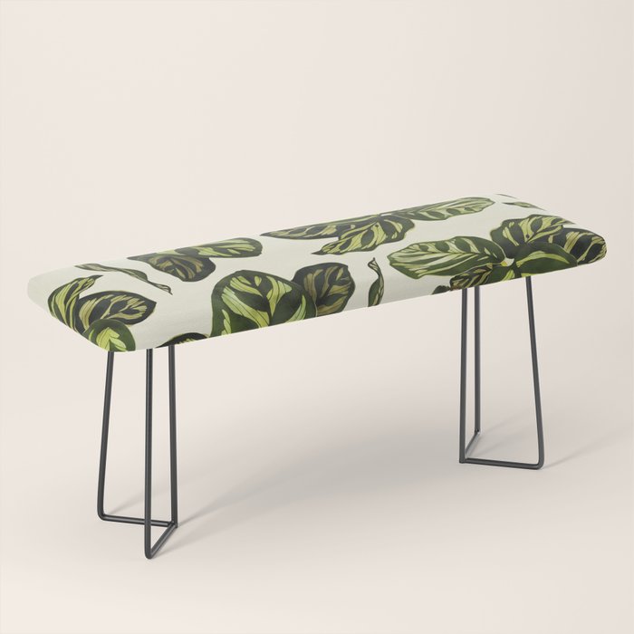 calathea botanical interior plant Bench Gallery Image 1
