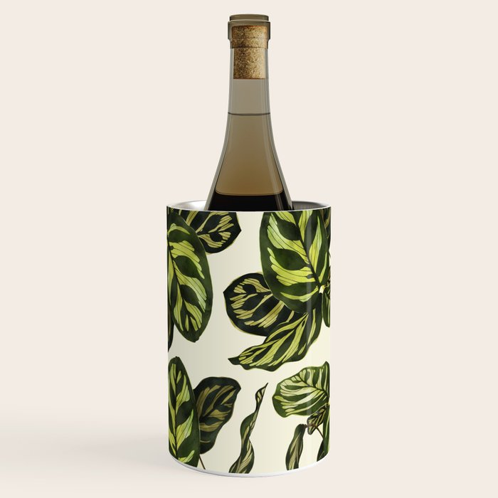calathea botanical interior plant Wine Chiller Gallery Image 1