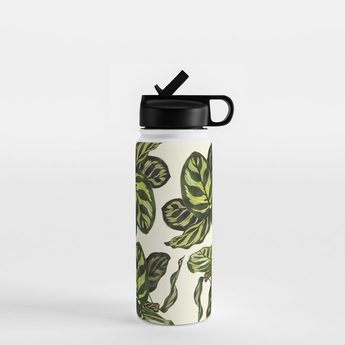 calathea botanical interior plant Water Bottle Gallery Image 1