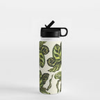 calathea botanical interior plant Water Bottle Gallery Image 1