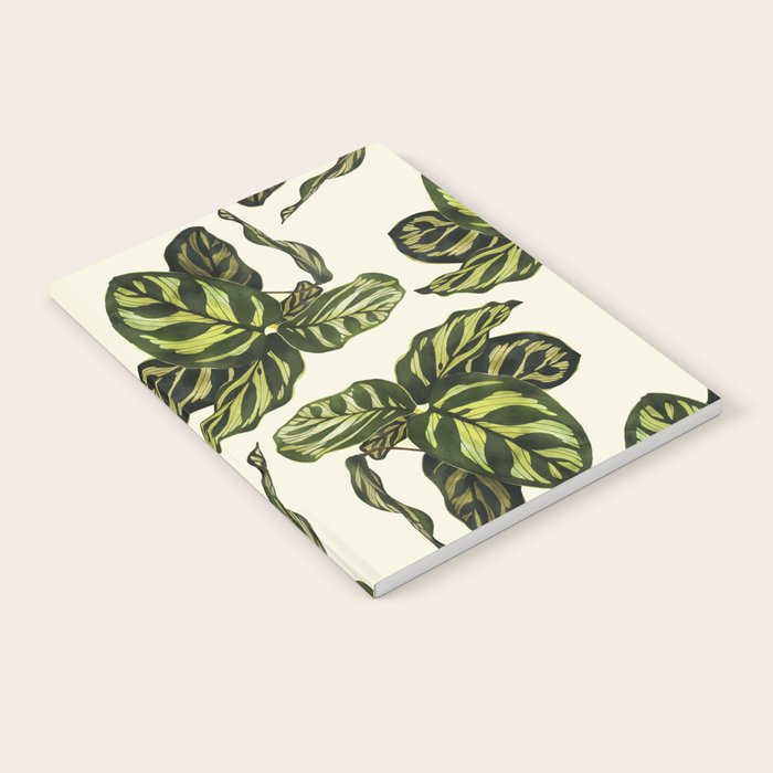 calathea botanical interior plant Notebook Gallery Image 2